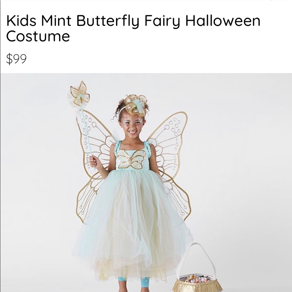 Pottery Barn Kids - Butterfly Fairy costume - Mint color 3T